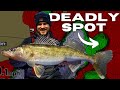 DEADLY Pattern for Early Ice Walleyes (Underwater Footage) - Ice Fishing Walleye Locations & Tips