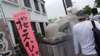 2019_06_08富士市　さわやかウォーキング[～静岡ＤＣ記念～富士山しらす街道と吉原祇園祭].wmv