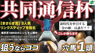 【今週も勝つぞ！】共同通信杯 2025 【穴馬/予想】新時代のヒーロー！金の卵は誰だ！？「単勝５番人気以下」想定の「自信の☆穴馬」で大勝負だ！