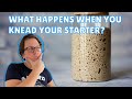 Sourdough Bread Without Refreshing Your Starter?