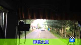 韓國濟州神奇道路