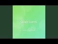 Quiet Storm