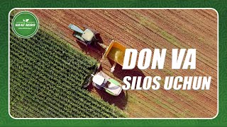 DON VA SILOS UCHUN MAKKAJO'XORI URUG'LAR I +998 90 604 05 55