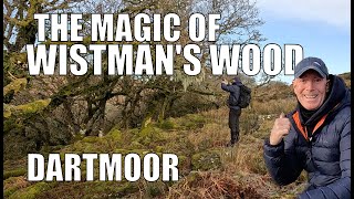 Magical Wistmans Woods and Gunpowder Mills on Dartmoor #dartmoor #wistmanswood