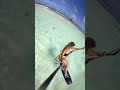 kitegirls just wanna have fun 🤯🔥 awesome darkslide