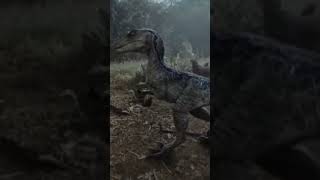 Blue Raptor | Jurassic Park | VR | 360 |