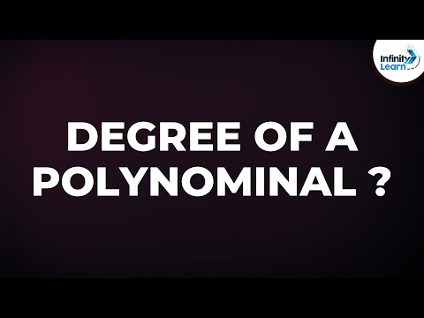 What is a degree 3 polynomial?