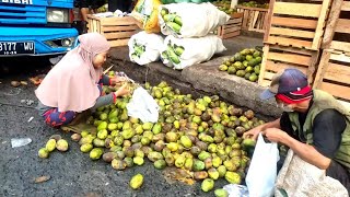 Mulung sekarang 5 karung Kuweni ini d pilih bareng-bareng