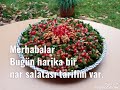 en güzel nar salatası nasıl yapılır granatapfelsalat