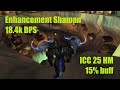 Enhancement Shaman - 18.4k DPS - ICC 25 HM 15% buff