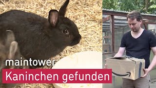 Kaninchen an Glascontainer ausgesetzt | maintower