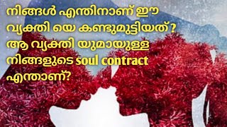 നിങ്ങൾ എന്തിനാണ് ഈ വ്യക്തിയെ കണ്ടുമുട്ടിയത്? ആ വ്യക്തിയും ആയുള്ള നിങ്ങളുട soulcontact എന്താണ്? ♥️