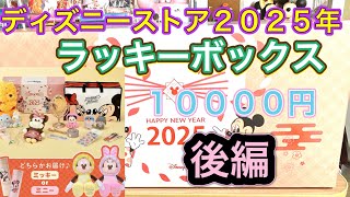 (開封動画)ディズニーストア 2025年度 ラッキーボックス １万円