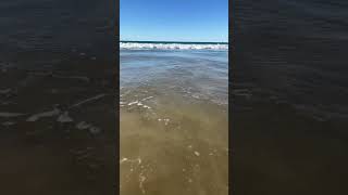 (波の音）ザブンと打ち寄せる波をオーストラリアのビーチから #shorts #asmr #beach #癒し #ocean #wavesounds #リラクゼーション #リラックス#自然音