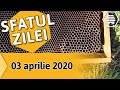 Sfatul zilei în apicultură - 03 aprilie 2020