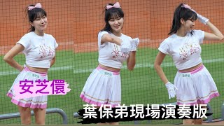 【安芝儇 안지현】現場演奏版本-葉保弟應援《20240406 開幕賽 DAY-2》『台鋼 Wing Stars』[台湾の人気チアリーダー] ［대만의 인기 치어리더］#안지현