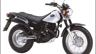 [原付二種]TW125 YAMAHA 逆車😅バージョン(風防は，自作)