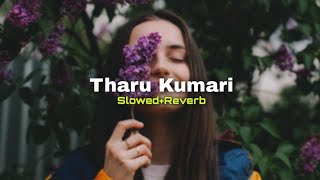 Tharu Kumari (Slowed+Reverb) | Ananthen Aa Tharu Kumara | SlowMo_LK