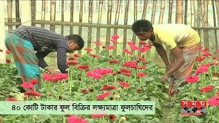 ৪০ কোটি টাকার ফুল বিক্রির লক্ষ্যমাত্রা ফুলচাষিদের | Business News | Flower Business In BD