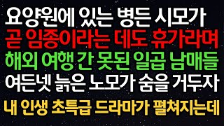 실화사연- 요양원에 있는 병든 시모가 곧 임종이라는 데도 휴가라며 해외 여행 간 못된 일곱 남매들 여든넷 늙은 노모가 숨을 거두자 내 인생 초특급 드라마가 펼쳐지는데