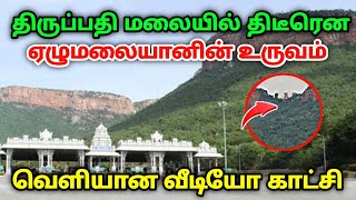 திருப்பதி மலையில் திடீரென ஏழுமலையானின் உருவம் வெளியான வீடியோ காட்சி !