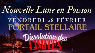 NOUVELLE LUNE 28 fevrier 2025 Rituel Soin Champ Vibratoire Phénomenal Portail Galactique Majeur