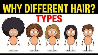 Why Do Humans Have Different Hair Types?