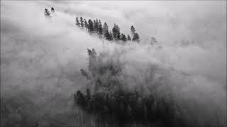 filejacker - Languor
