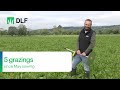 dlf multispecies update from new grower in co kerry