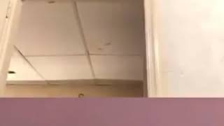 @datbitchbarbiee Live #8
