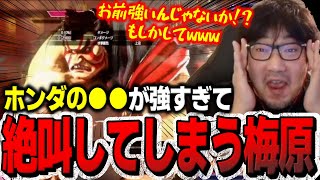 「バカだろ、コレ！w」ホンダのとある技が強すぎて笑ってしまうウメハラ「お前、強いんじゃねぇか！？」【ウメハラ】【梅原大吾】【切り抜き】【スト6 SF6】