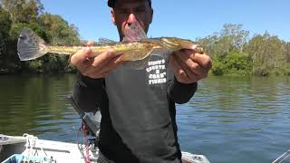 Didio's Country 2 Coast Fishing Adventure Vol.2