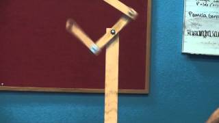 Rott's Double Pendulum Action Video