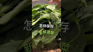 这样保鲜蔬菜效果最好， 你有没有想到过？tips to keep vegetable fresh.