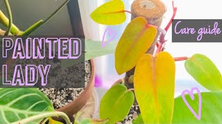 Philodendron Painted Lady! | How I care for my pretty lady ✨| Sassy or sweet🍭?