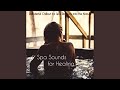 Purify - Spa Retreats