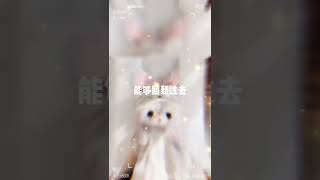 星黛露卡点💖.