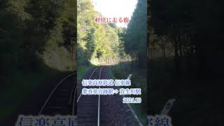 軽快に走る鹿　信楽高原鐵道　信楽線　紫香楽宮跡駅⇒貴生川駅　＃車窓＃風景＃train＃車窓から＃展望＃鉄道＃車窓からの風景＃JR＃旅行＃列車＃印象的＃車窓風景 #鉄道 #車窓からの風景