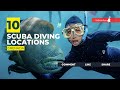 [2023] Grenada Dive Sites That Will Blow Your Mind: Our Top 10 Scuba Diving Locations