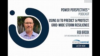 Using AI to Predict & Protect  Grid wide Storm Resilience