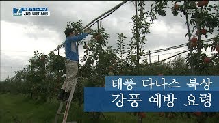 [7시오늘제주/190718 태풍 다나스 북상] 강풍 예방 요령