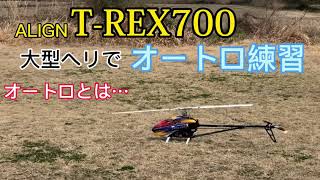 オートローテーション練習 T-REX700ラジコンヘリ　息子14才　3Dフライヤーへの道vol.31