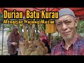 Durian Batu Kurau | Perak | Malaysia