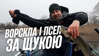 Ворскла і Псел  За щукою