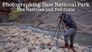 Photographing Zion National Park: The Narrows Hike and Fall Color | Southwest Landscape Photography