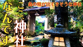 茨城県桜川市の神社には森の精が住んでいそうな神社がある　「五所駒瀧神社」リモート参拝