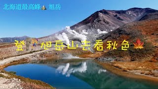 北海道打卡景點之一  北海道最高峰旭岳   2021年的最早秋景