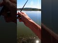 Карась на tict ice cube 69f. мормышинг fishing fish icecube