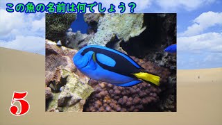 【生物】割と有名な魚クイズ【全10問】