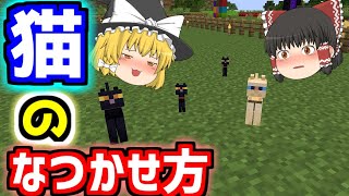 【マイクラの猫のなつかせ方】増やし方もわかります【ゆっくりマイクラ実況】